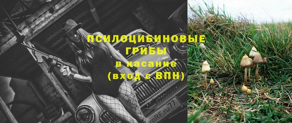 индика Новочеркасск